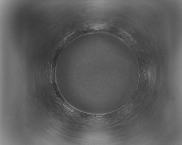 X0000070351158200606091045