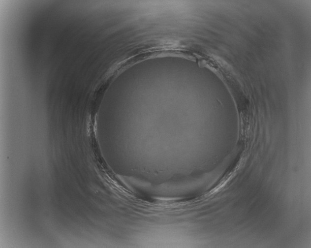 X0000070351161200606091045