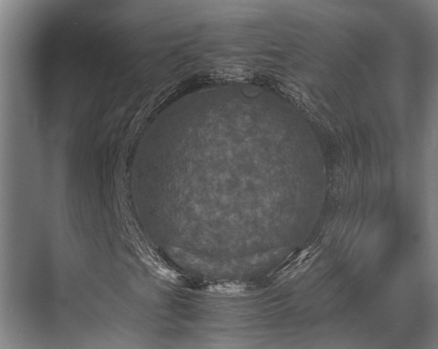 X0000070351201200606091043