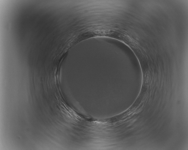 X0000070351202200606091043