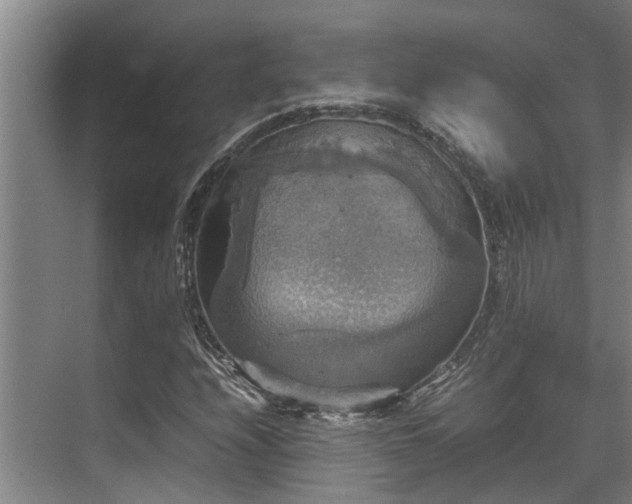 X0000070351208200606091043