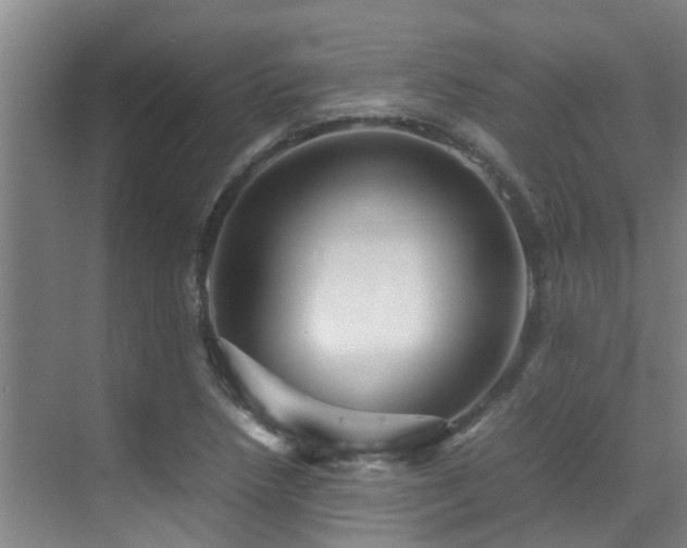 X0000070351218200606091043