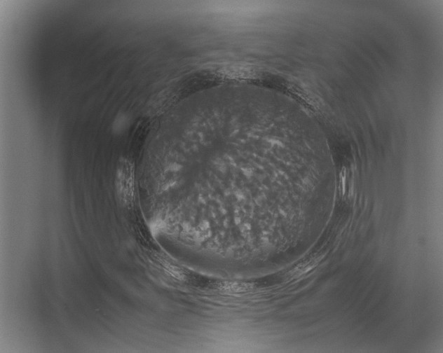 X0000070351251200606091043