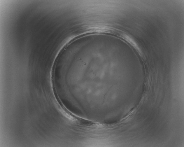 X0000070351283200606091042