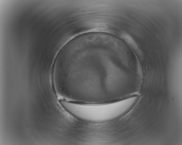 X0000070351284200606091042