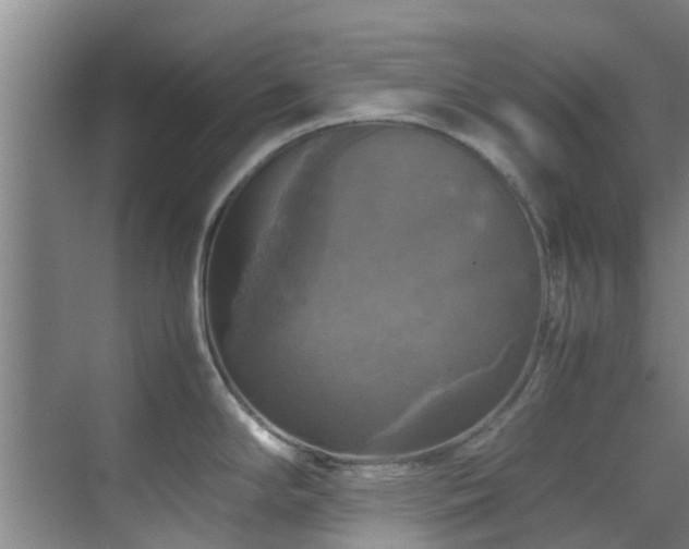X0000070351294200606091042