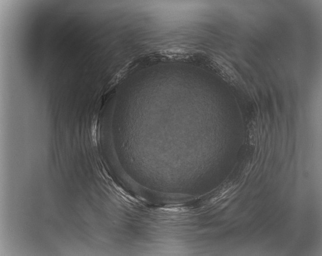 X0000070351298200606091041