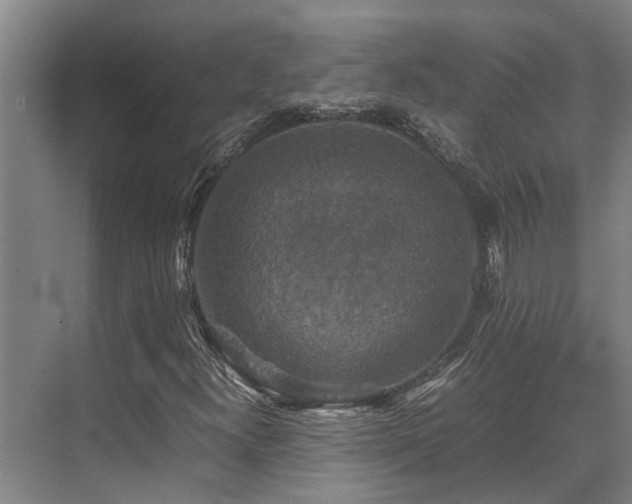 X0000070351300200606091041