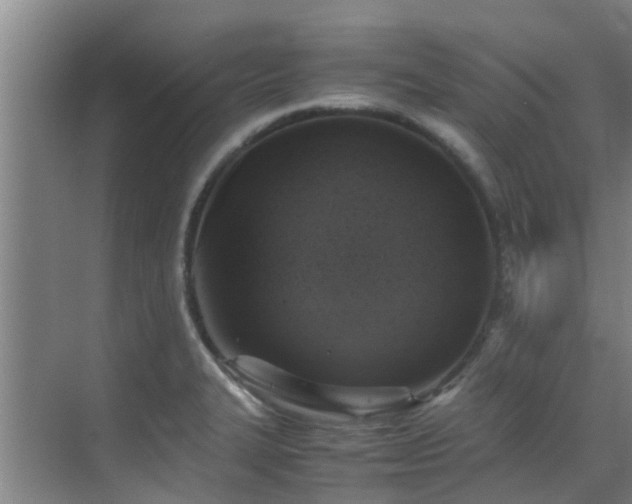 X0000070351327200606091042