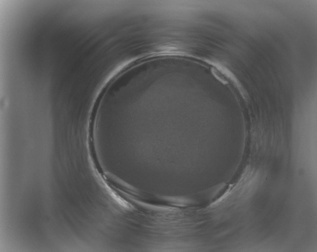 X0000070351333200606091042