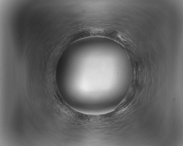 X0000070351345200606091041