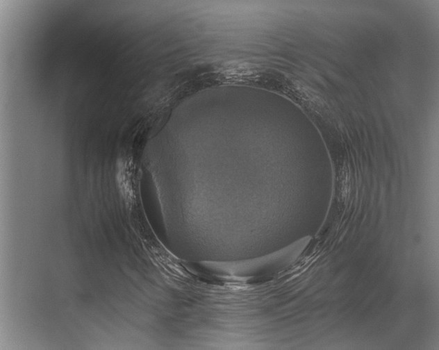 X0000070351346200606091041