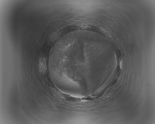 X0000070351347200606091041