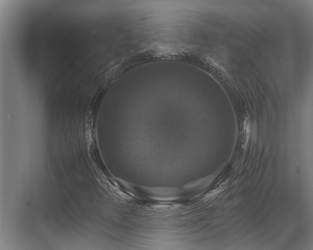 X0000070351348200606091041