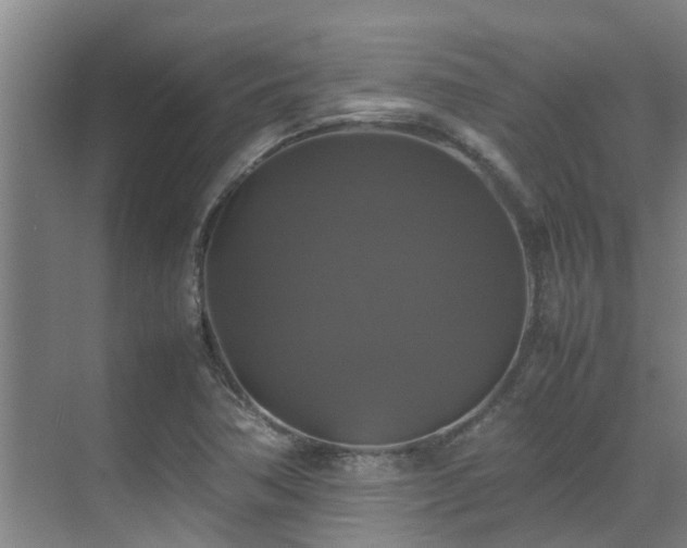 X0000070351362200606091041