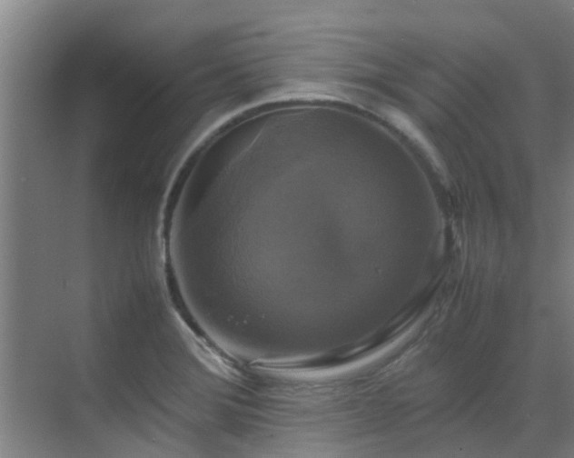 X0000070351372200606091041