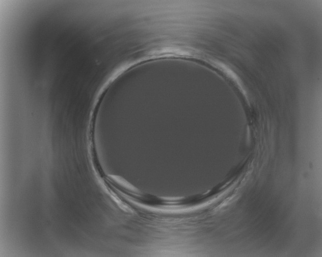 X0000070351373200606091041