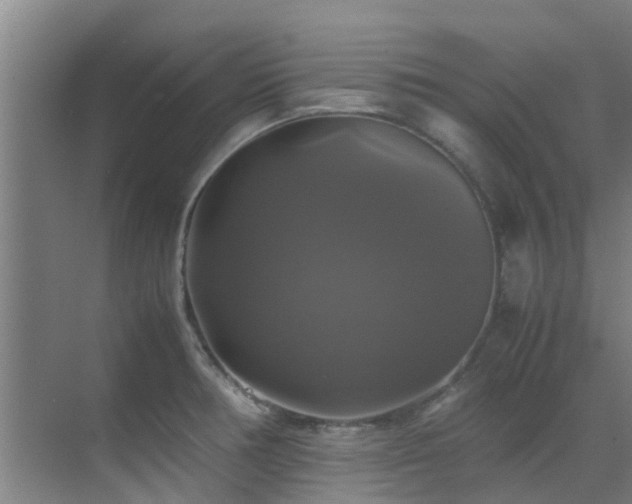 X0000070351378200606091041