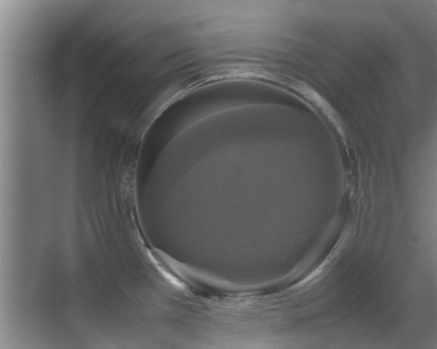 X0000070351385200606091041