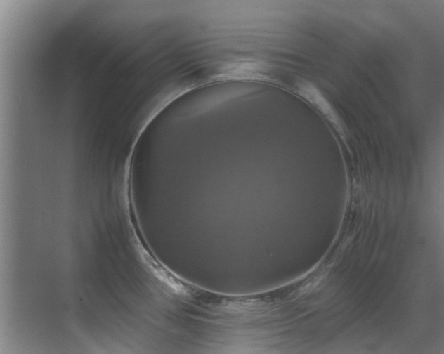 X0000070351386200606091041
