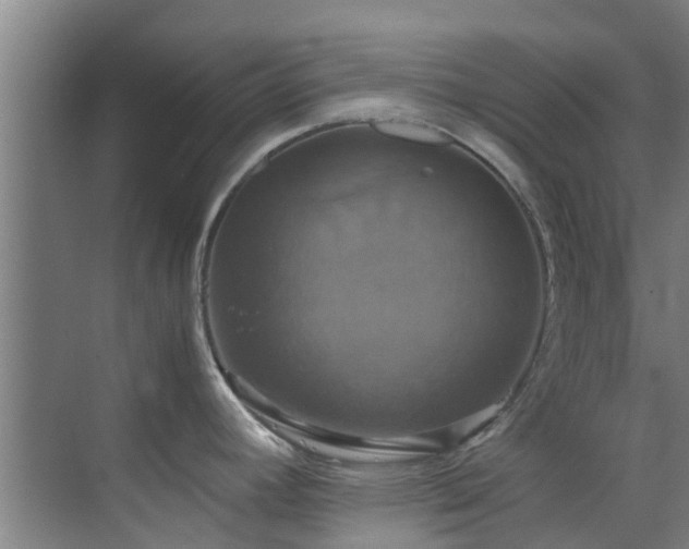 X0000070351392200606091041