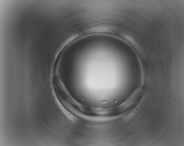 X0000070351426200606091040