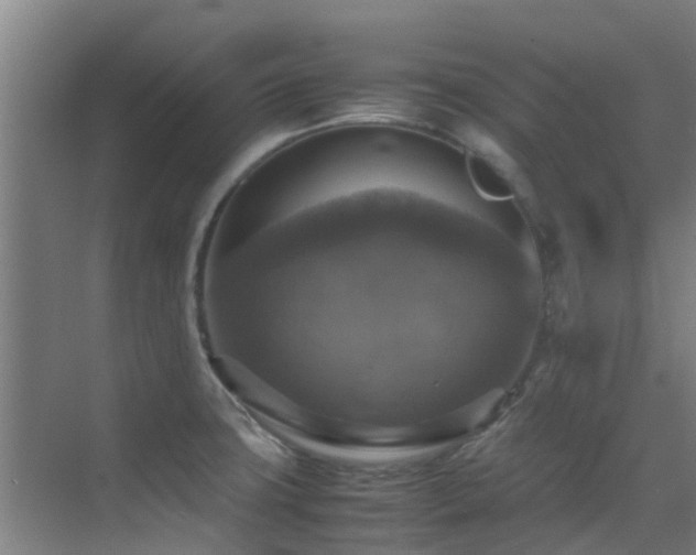 X0000070351427200606091040