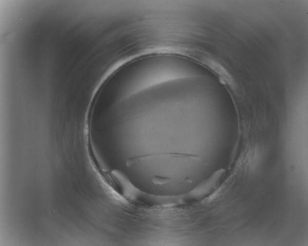X0000070351428200606091040