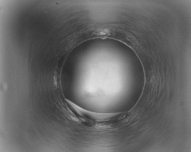 X0000070351442200606091040