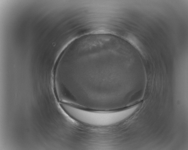X0000070351476200606091039