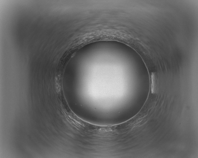X0000070351491200606091038