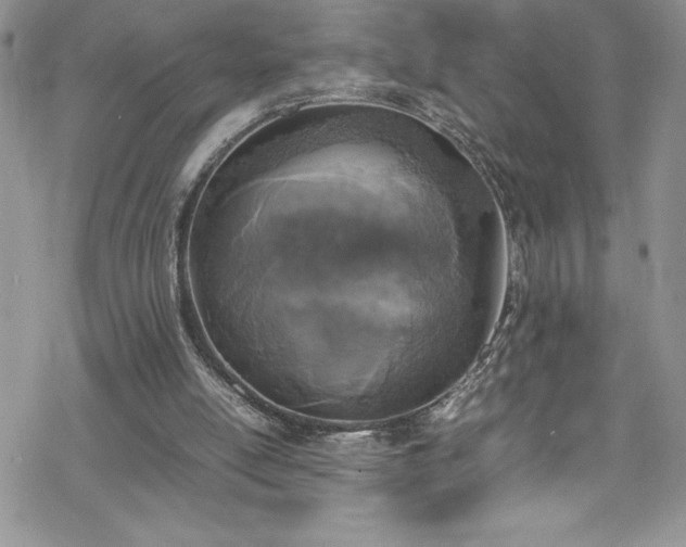 X0000070350054200606121216