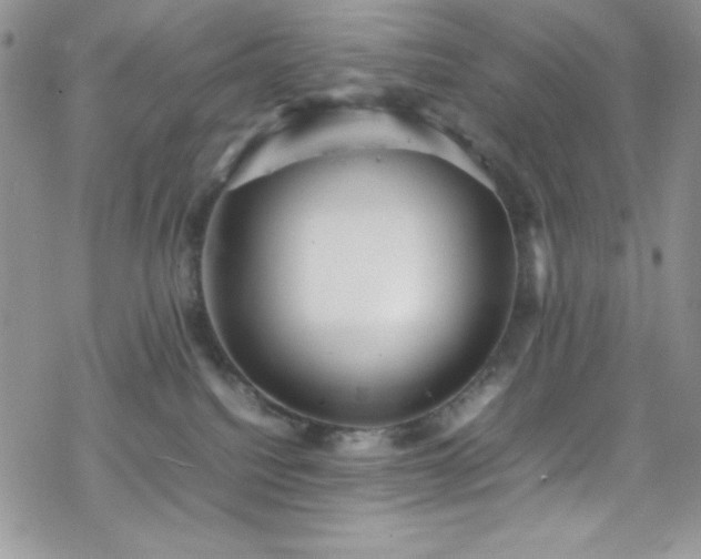 X0000070350088200606121216