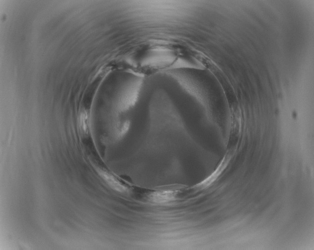 X0000070350094200606121216
