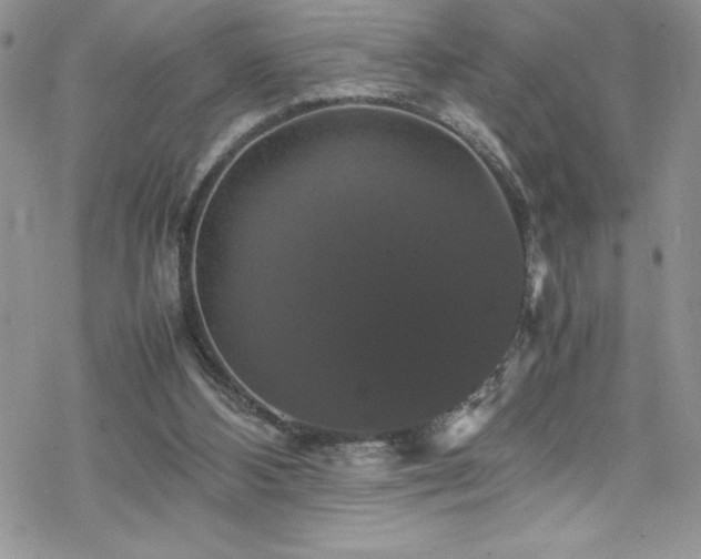 X0000070350108200606121216