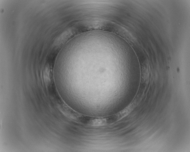 X0000070350126200606121215