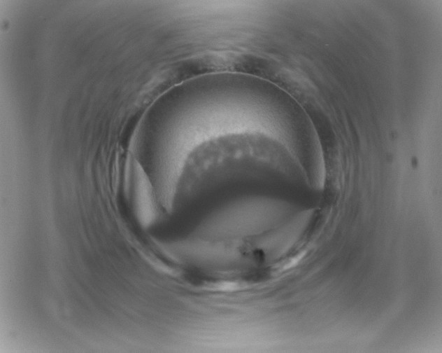 X0000070350131200606121215