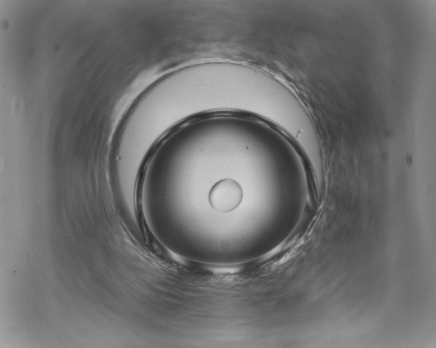 X0000070350152200606121214