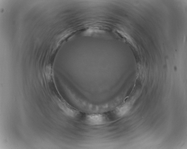 X0000070350189200606121215