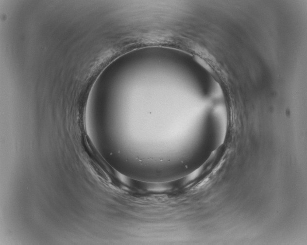 X0000070350201200606121214