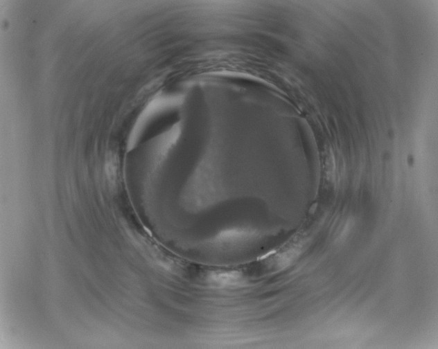 X0000070350283200606121213