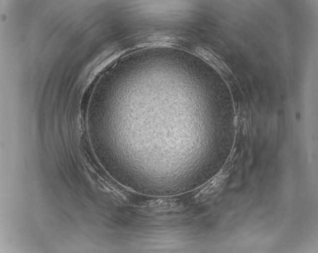X0000070350338200606121211