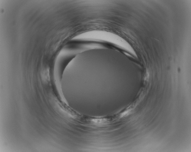 X0000070350371200606121212