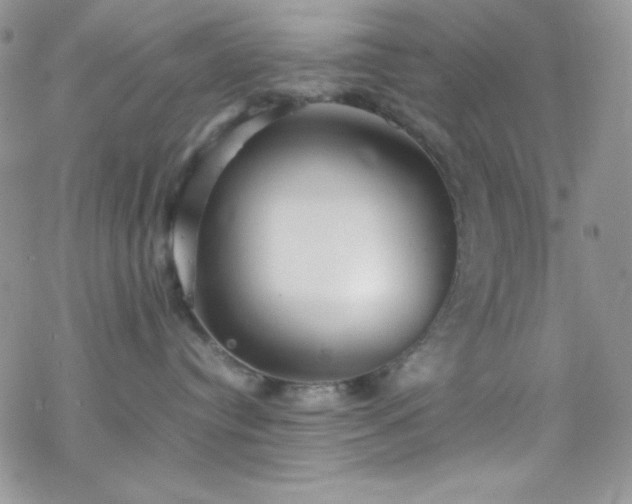 X0000070350384200606121212