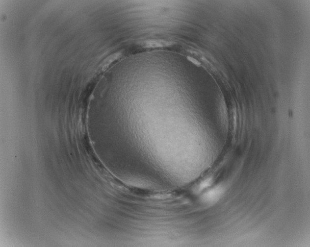 X0000070350422200606121210