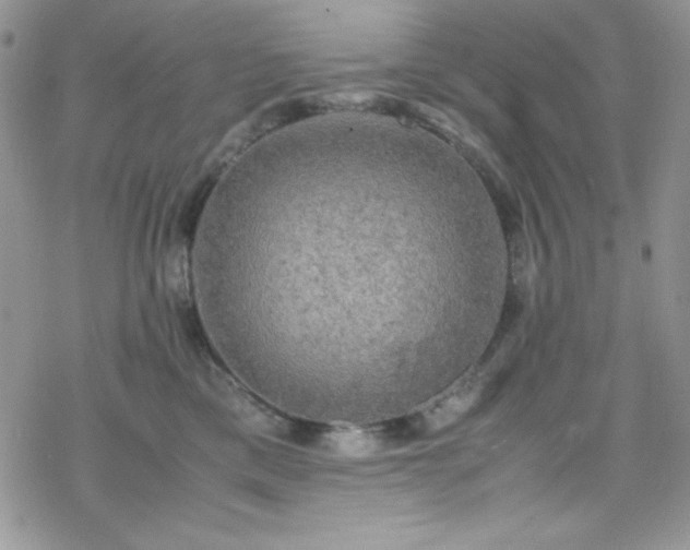 X0000070350425200606121210