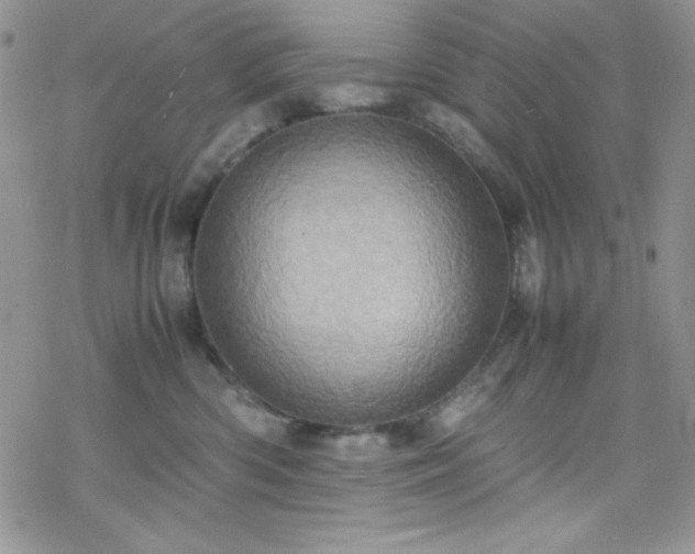 X0000070350426200606121210