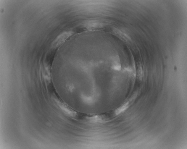 X0000070350430200606121210