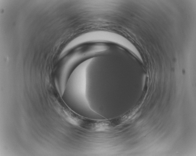 X0000070350462200606121210