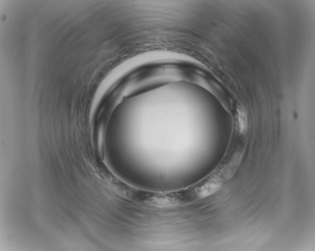 X0000070350464200606121210